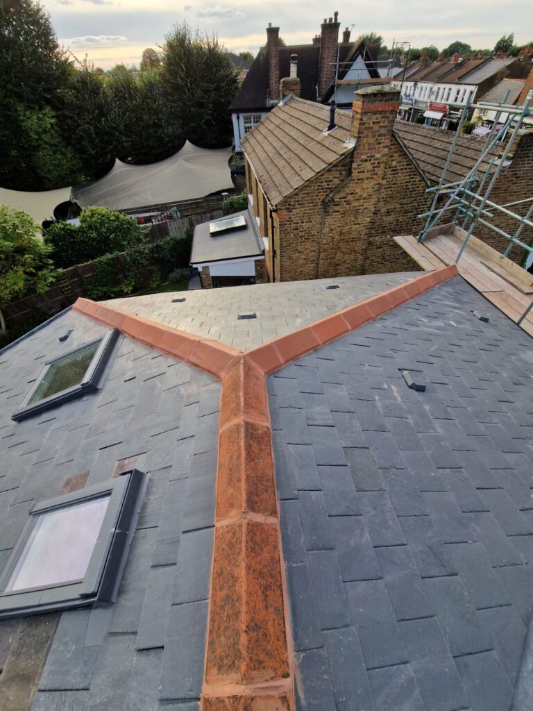 WhatsApp Image 2025-01-25 at 12.44.42 Site extension, Twickenham, Richmond borough